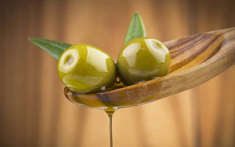 Oriental Region's Olive Industry Booms: 55% Growth in Cultivated Area Over Decade