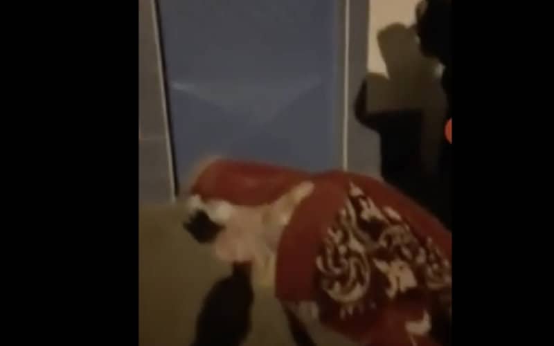 Outrage as Woman Forced to Give Birth on Street Outside Closed Morocco Hospital