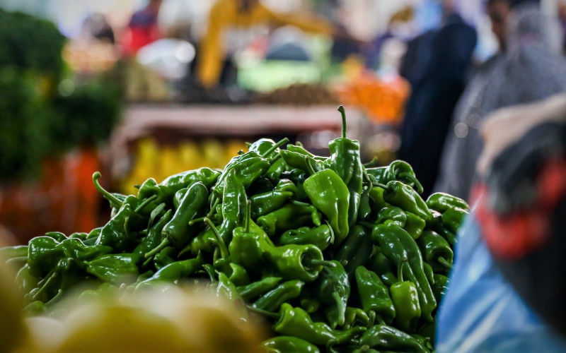 Peppers: Morocco crushes the competition in the Spanish market
