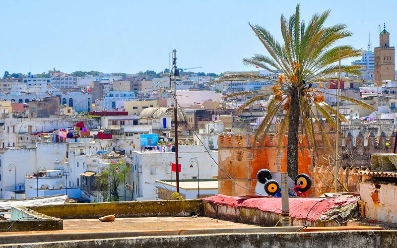 Rabat Bar Association President Testifies in Major Insurance Fraud Case