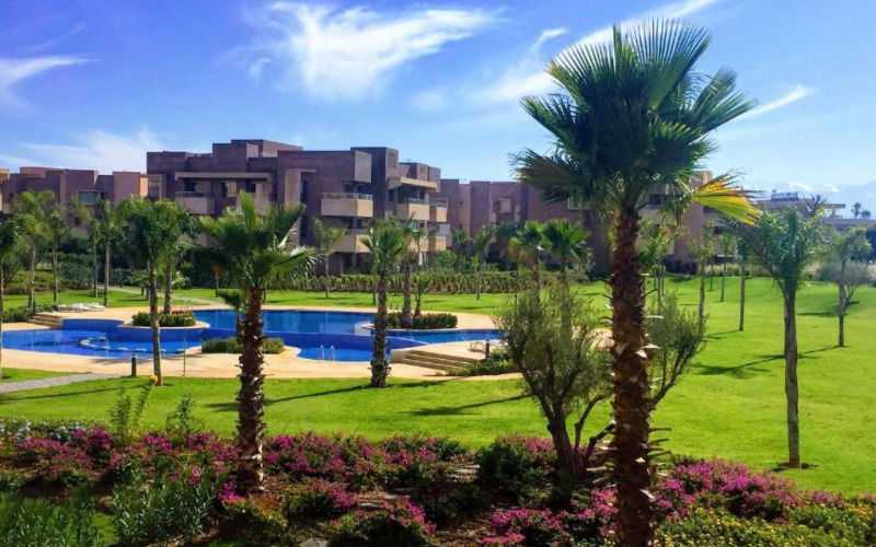 Real Estate Executive Arrested in $5 Million Marrakech Property Fraud Scheme