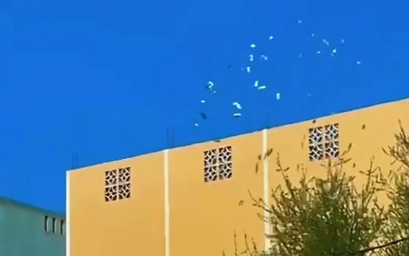 Roof-Raining Cash: Burglars' Bizarre Escape Attempt Foils Witchcraft Ring
