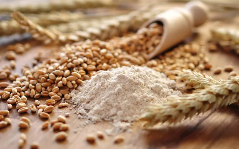 Russia Reclaims Top Spot as Morocco's Wheat Supplier, Ukraine Absent