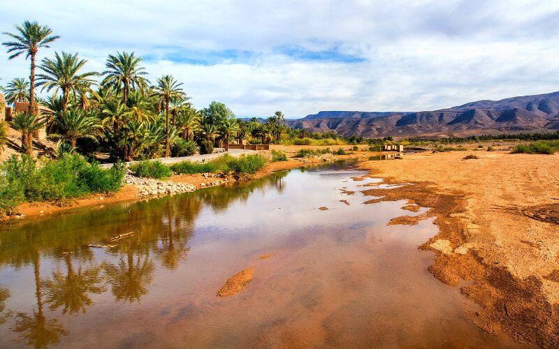 Severe Drought Grips Southern Morocco as Water Crisis Intensifies