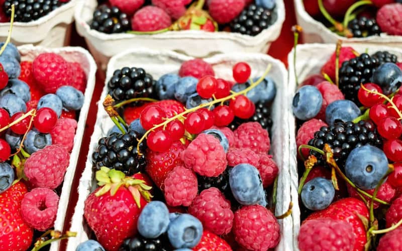 Spanish Berry Farmers Face Pressure as Moroccan Exports Surge