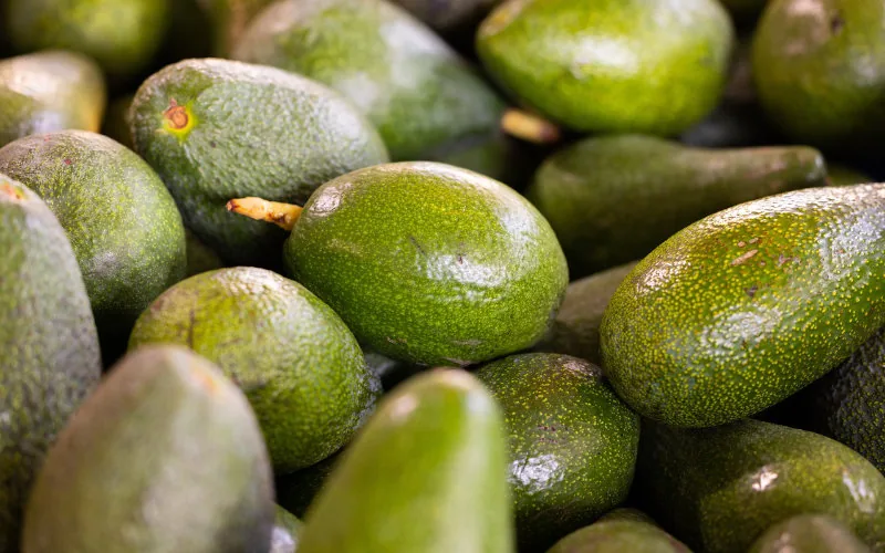 Spanish Farmers Raise Alarm Over Pesticide Residues in Imported Avocados