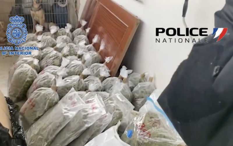 Spanish-French Police Bust Morocco-to-France Drug Ring, Seize 247 Kilos of Marijuana