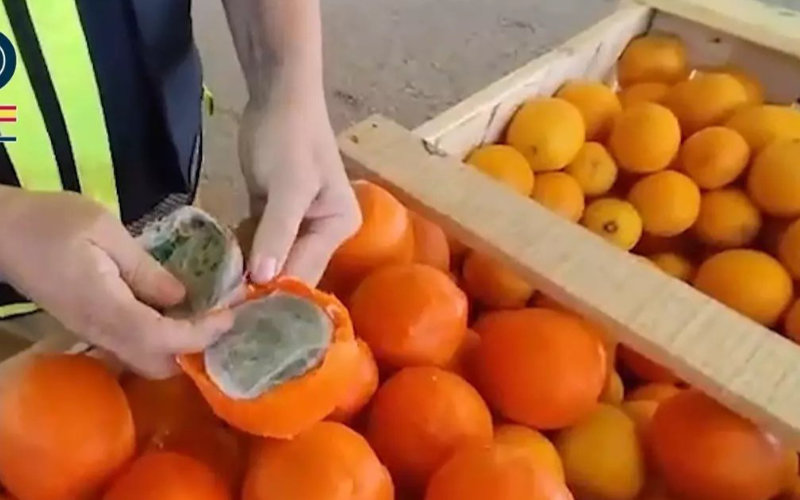 Spanish Police Bust Massive Cannabis Smuggling Operation Disguised as Orange Shipment