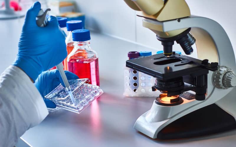 Stanford Study: 23 Moroccan Scientists Rank Among World's Top 2% of Researchers