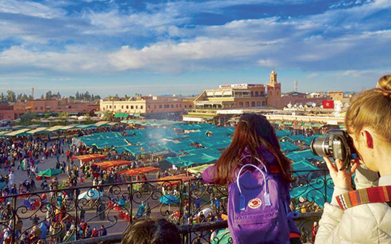 Swiss Tourist's Death Sparks Rabies Warning for Morocco Travelers