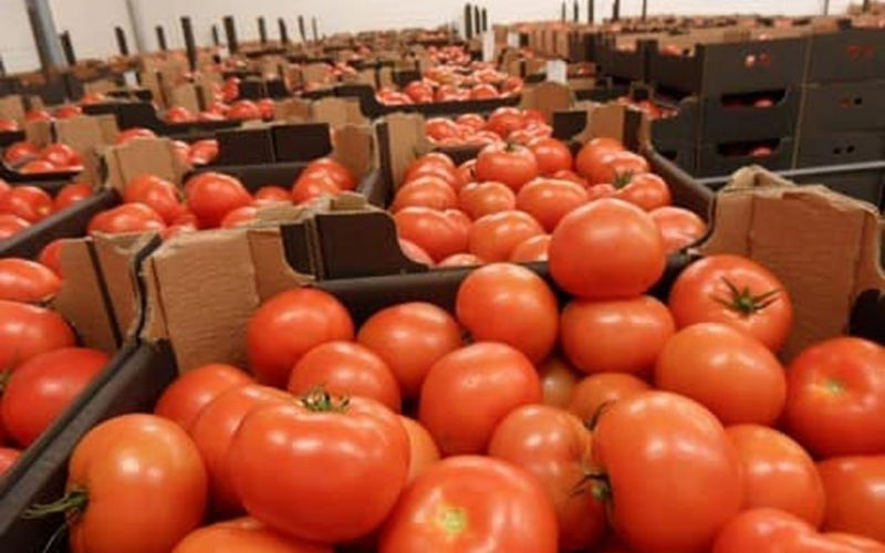 EU Tightens Fruit and Vegetable Import Rules, Worrying Moroccan Tomato Producers
