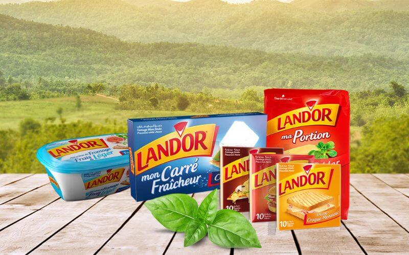 Tunisian Dairy Giant Land'Or to Open Cheese Factory in Morocco