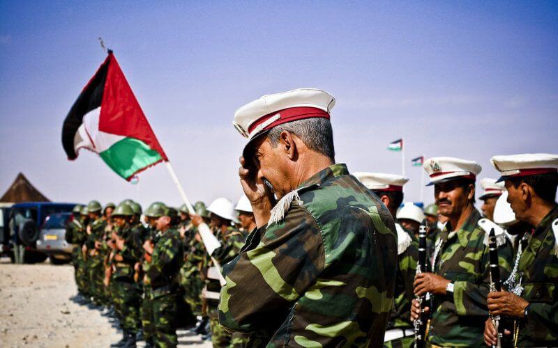 Western Sahara Conflict: 12 Polisario Front Members Defect to Morocco