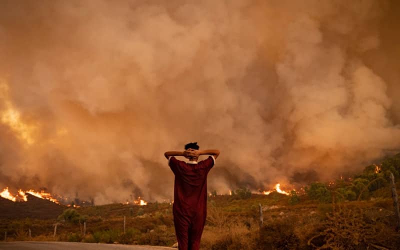 Wildfire Ravages 30 Hectares in Morocco's M'diq Forest, Firefighters Battle Blaze