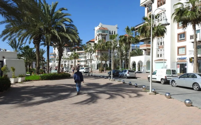 Agadir Residents Demand Action on Stray Dogs and Homelessness Crisis