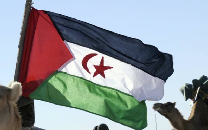 Algeria Condemns US Recognition of Morocco's Claim to Western Sahara