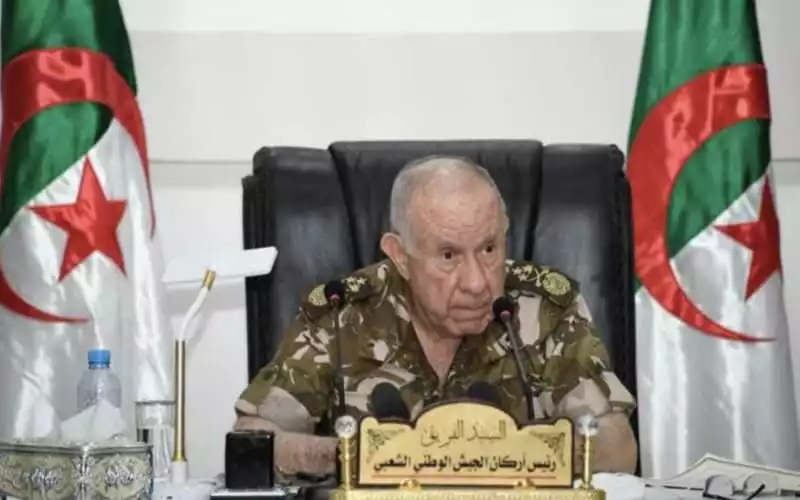 Algerian Army Chief Compares Morocco's Sahara Presence to Gaza Conflict