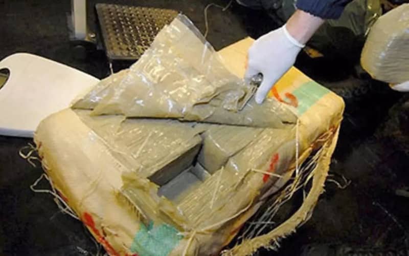 Algerian Army Seizes Over 700 kg of Cannabis from Morocco, Arrests 17 Traffickers