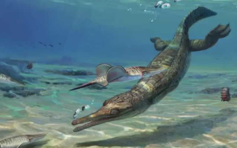 Ancient 'Ghost Crocodile' Fossil Discovered in Morocco and UK, Reveals Jurassic Predator