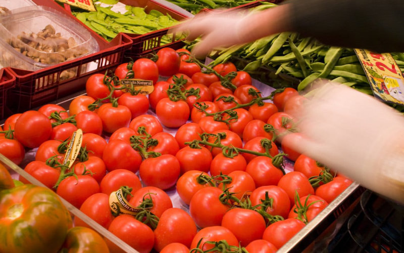 French Farmers Protest Surge in Moroccan Tomato Imports Amid Growing Trade Tensions