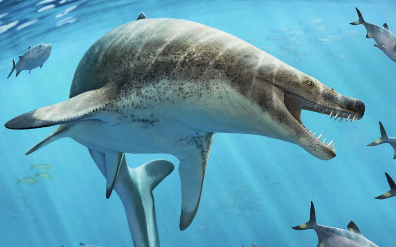 Giant Prehistoric Marine Lizard Unearthed in Morocco: 8-Meter 'Sea Monster' with Knife-Like Teeth