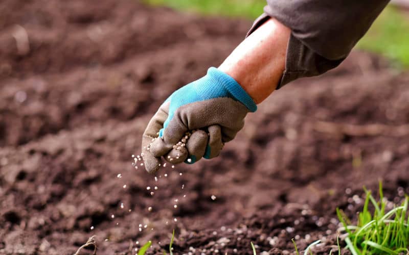 India Seeks Long-Term Fertilizer Deals with Morocco Amid Global Supply Concerns