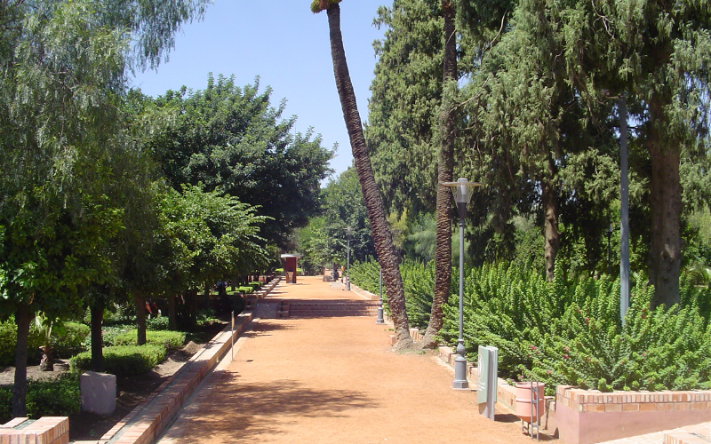 Marrakech Closes Parks as COVID-19 Cases Surge, Hospitals Reach Capacity