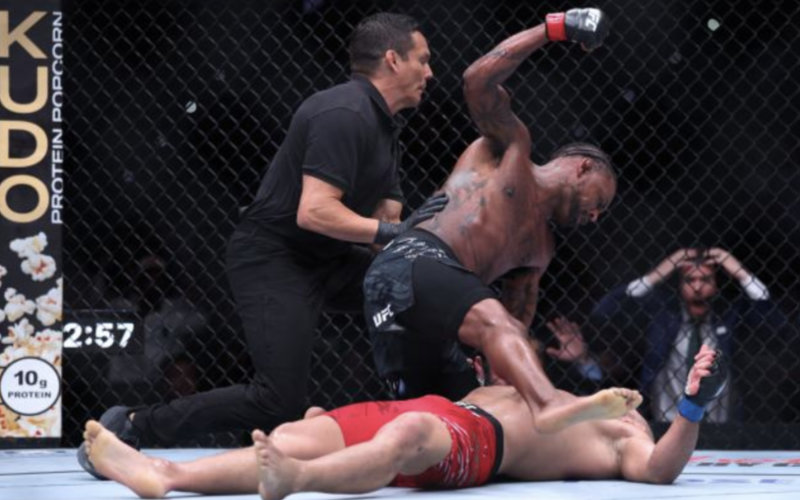 Michael Johnson Knocks Out Ottman Azaitar in First Round of UFC Bout