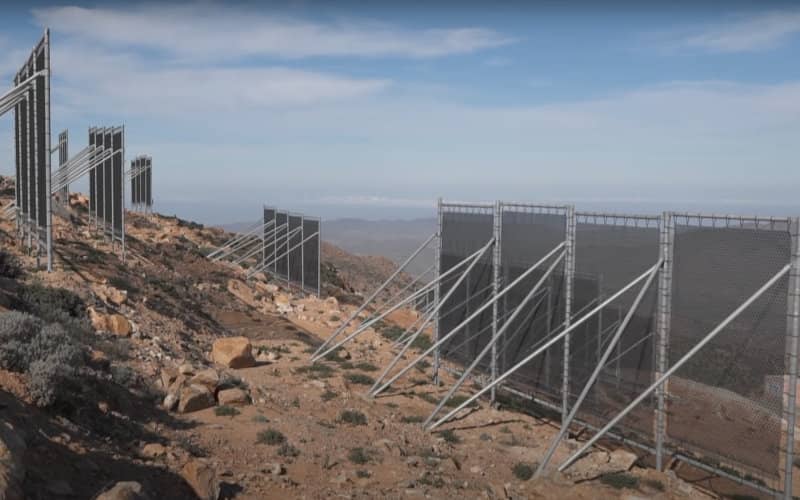 Moroccan Innovator Turns Fog into Clean Water to Combat Drought