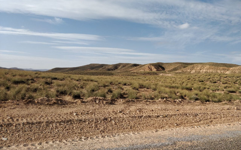 Moroccan Landowners Protest Alleged Land Seizures, Appeal to King Mohammed VI