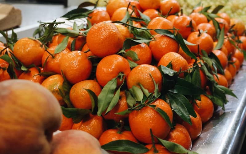 Morocco Becomes Russia's Top Fruit and Vegetable Supplier as Exports Surge 45%