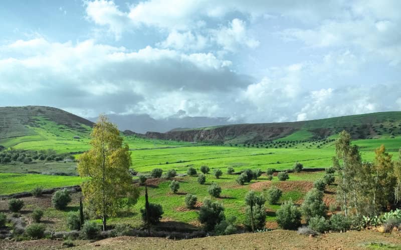 Morocco Tightens Restrictions on Foreign Acquisition of Agricultural Land
