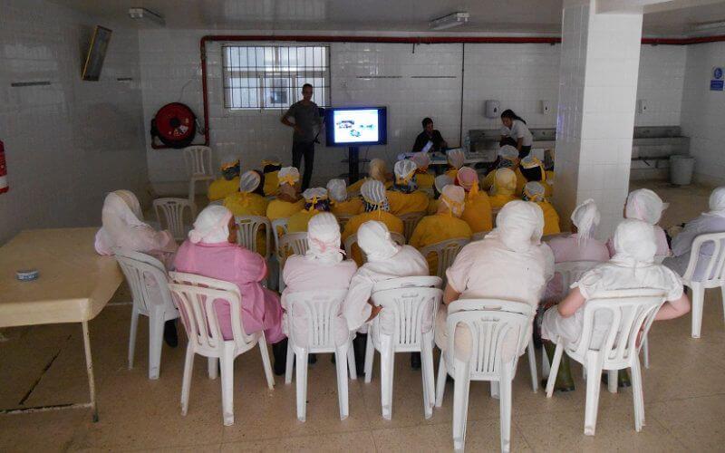 New COVID-19 Cluster Emerges at Moroccan Fish Factory Amid Reopening