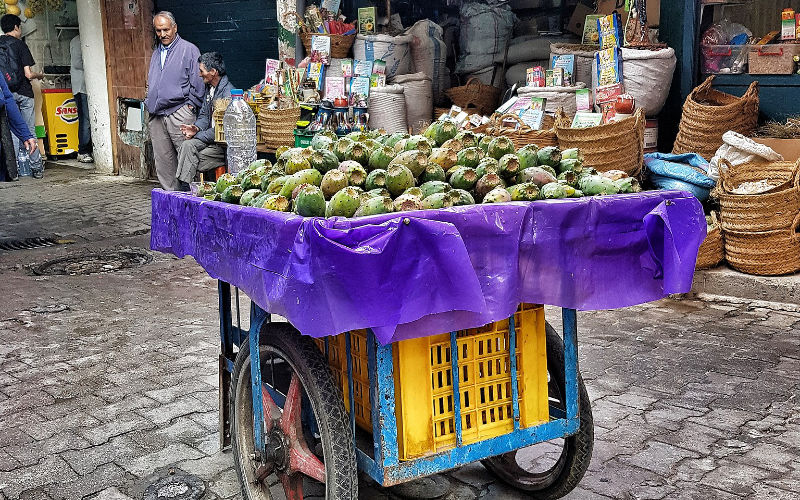 Prickly Pear Prices Soar in Morocco as Demand Outpaces Supply