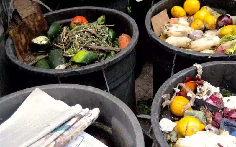 UN Report: Morocco's Household Food Waste Soars to 4.2 Million Tons in 2022