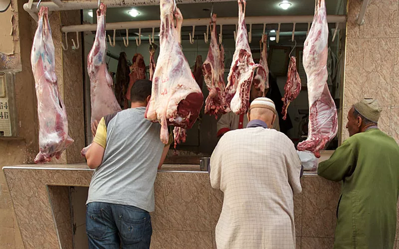 Soaring Meat Prices Force Moroccan Families to Shift Diet Habits