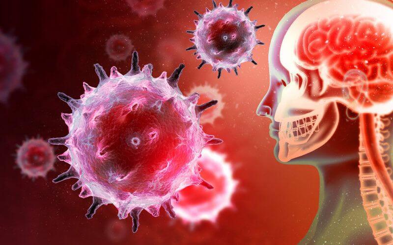 Study Reveals Potential Brain Inflammation in COVID-19 Patients, Even After Recovery