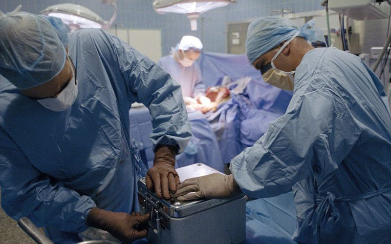 Survey: 41% of Moroccans Willing to Donate Organs After Death