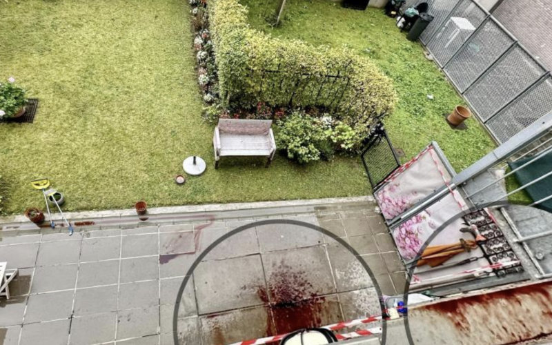 Suspect in Brussels Femicide Released After Passing Polygraph Test