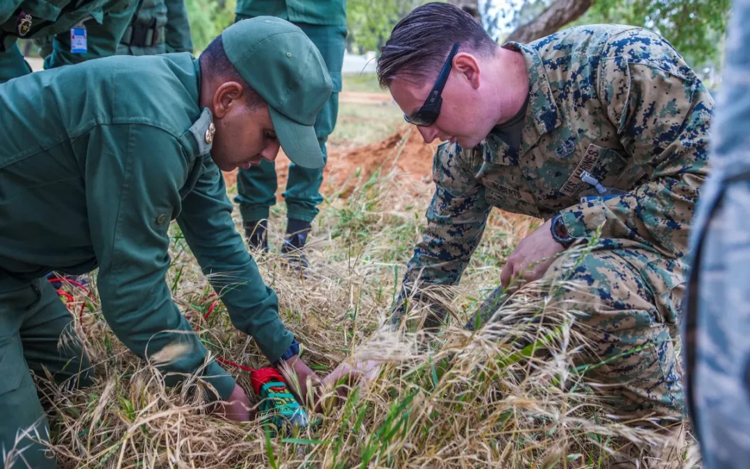After the United States, NATO chooses Morocco to train African armies