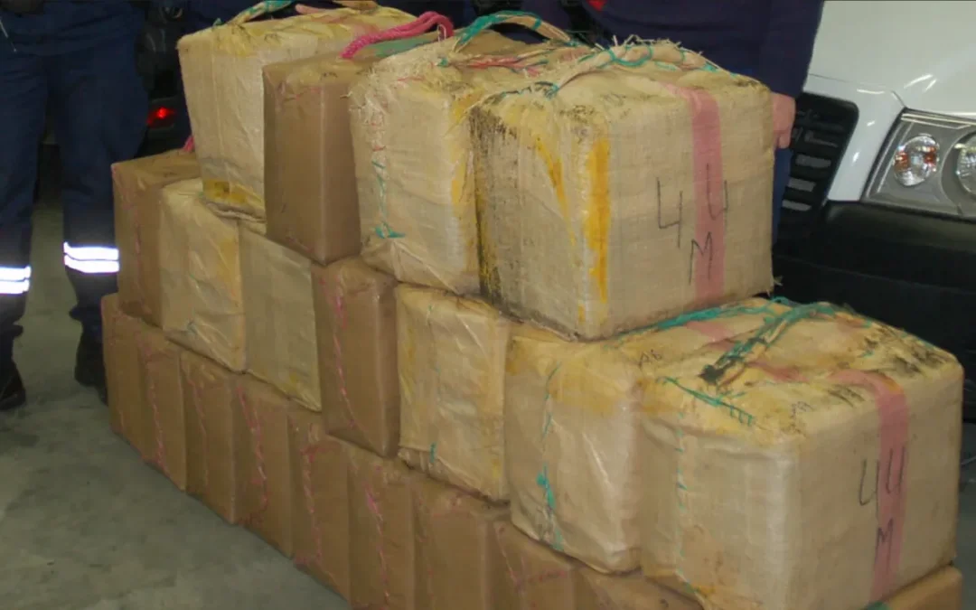 France extradites him from Morocco for 500 kg of cannabis… then releases him by mistake