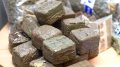 Record-Breaking Cannabis Seizure in Brussels: 11.5 Tons from Morocco, Suspects Still at Large