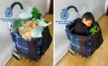 Child Trafficking Attempt Foiled: 10-Year-Old Palestinian Found Hidden in Shopping Cart at Melilla Border