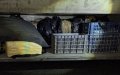400 Kilos of Cannabis Seized from 'Empty' Moroccan Truck Near French Border