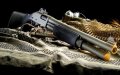 8-Year-Old Girl Shot During Stray Dog Culling Operation in Fez, Morocco