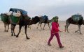 Adventurer Embarks on 1,400-km Camel Trek Across Morocco's Atlas Mountains