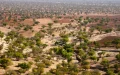 After the Drought, Essaouira's Argan Forest Has Not Returned to Its Former State