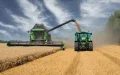 After Seven Years of Drought, Morocco Achieves Record Cereal Harvest of 90 Million Quintals