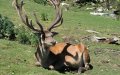 Agadir Plans 132-Hectare Animal and Recreation Park to Boost Tourism