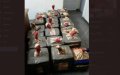 Agadir Police Seize 650kg Cannabis in Shootout with Drug Traffickers